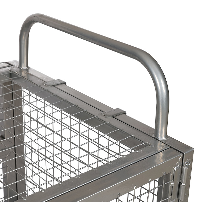 Bt-Double Door Farn Cart Care с крышкой